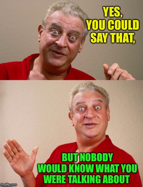 Classic Rodney | YES, YOU COULD SAY THAT, BUT NOBODY WOULD KNOW WHAT YOU WERE TALKING ABOUT | image tagged in classic rodney | made w/ Imgflip meme maker