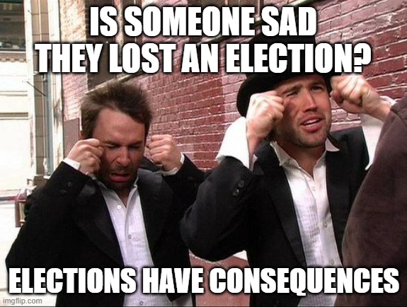 Aww did someone get addicted to crack | IS SOMEONE SAD THEY LOST AN ELECTION? ELECTIONS HAVE CONSEQUENCES | image tagged in aww did someone get addicted to crack | made w/ Imgflip meme maker