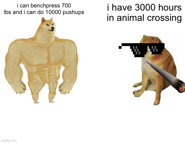 how to get a girlfriend before and after | i can benchpress 700 lbs and i can do 10000 pushups; i have 3000 hours in animal crossing | image tagged in memes,buff doge vs cheems,fun | made w/ Imgflip meme maker