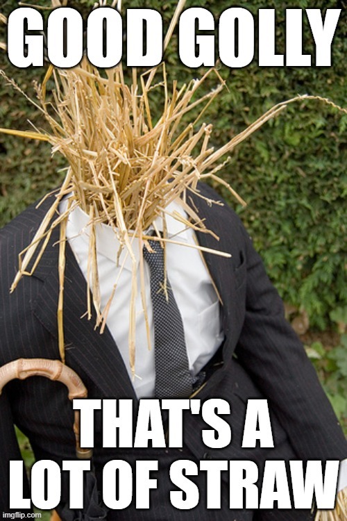 Strawman Good Golly | image tagged in strawman good golly that's a lot of straw | made w/ Imgflip meme maker