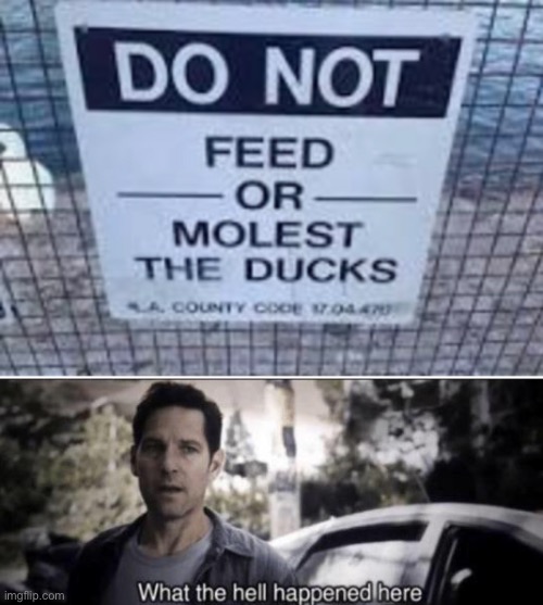 I got in trouble at this astablishment | image tagged in what the hell happened here | made w/ Imgflip meme maker