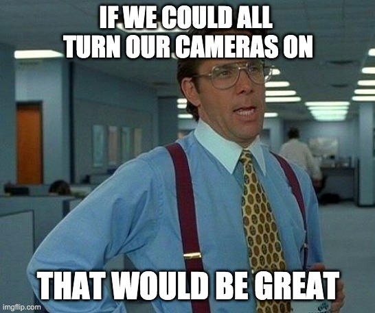 CAMERAS ON | IF WE COULD ALL 
TURN OUR CAMERAS ON; THAT WOULD BE GREAT | image tagged in memes,that would be great | made w/ Imgflip meme maker
