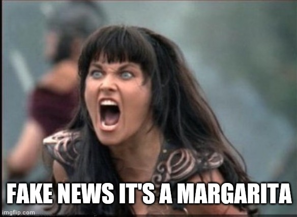 Screaming Woman | FAKE NEWS IT'S A MARGARITA | image tagged in screaming woman | made w/ Imgflip meme maker