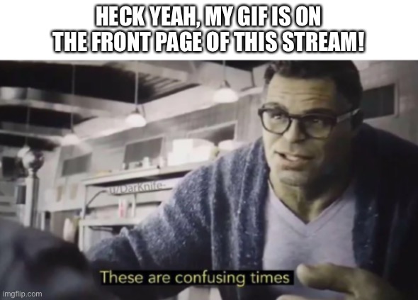 These are confusing times | HECK YEAH, MY GIF IS ON THE FRONT PAGE OF THIS STREAM! | image tagged in these are confusing times | made w/ Imgflip meme maker
