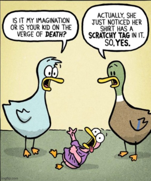 Gotta love these comics | image tagged in duck,comics/cartoons,comics | made w/ Imgflip meme maker