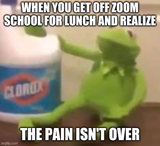 School sucks :/ | WHEN YOU GET OFF ZOOM SCHOOL FOR LUNCH AND REALIZE; THE PAIN ISN'T OVER | image tagged in kermit the frog,clorox,hello darkness my old friend | made w/ Imgflip meme maker
