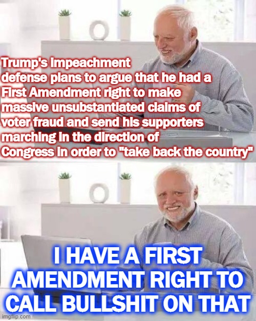 The Constitution protects a President's right to say or do anything to stay in power against the will of voters? Bold theory sir | Trump's impeachment defense plans to argue that he had a First Amendment right to make massive unsubstantiated claims of voter fraud and send his supporters marching in the direction of Congress in order to "take back the country"; I HAVE A FIRST AMENDMENT RIGHT TO CALL BULLSHIT ON THAT | image tagged in memes,hide the pain harold | made w/ Imgflip meme maker