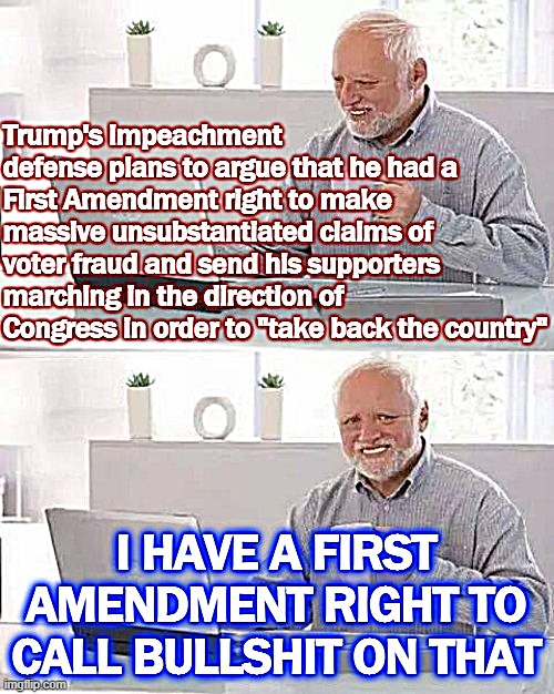The Constitution protects a defeated President's right to say or do anything to stay in power? Bold theory sir | image tagged in the constitution,constitution,first amendment,freedom of speech,trump is an asshole,hide the pain harold | made w/ Imgflip meme maker