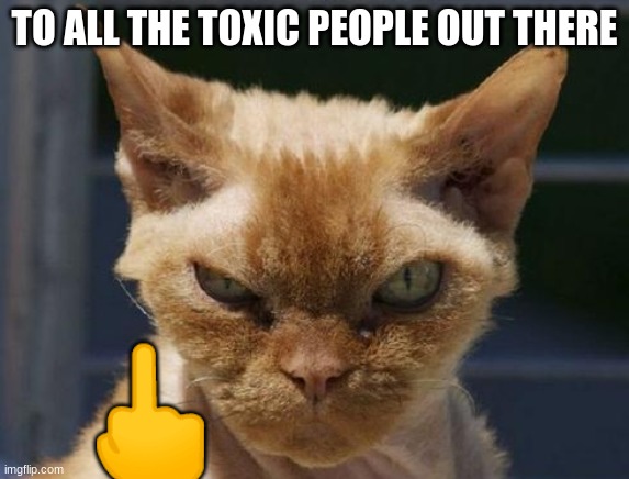 Mad Cat | TO ALL THE TOXIC PEOPLE OUT THERE; 🖕 | image tagged in mad cat | made w/ Imgflip meme maker