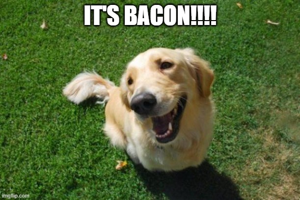 Happy Dog | IT'S BACON!!!! | image tagged in happy dog | made w/ Imgflip meme maker