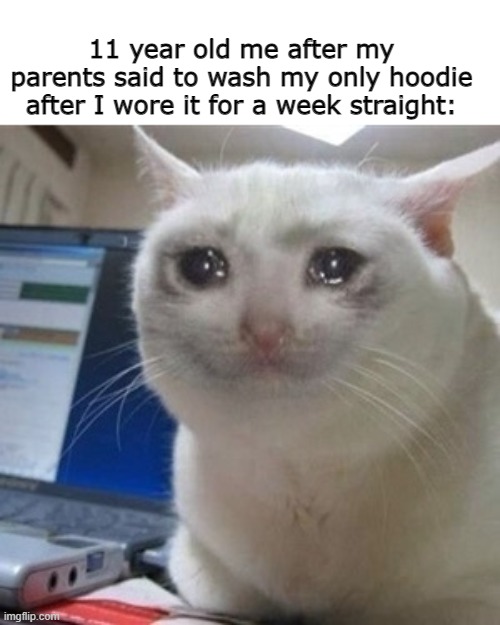 I love hoodies | 11 year old me after my parents said to wash my only hoodie after I wore it for a week straight: | image tagged in crying cat | made w/ Imgflip meme maker