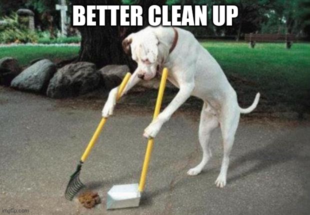 Dog poop | BETTER CLEAN UP | image tagged in dog poop | made w/ Imgflip meme maker