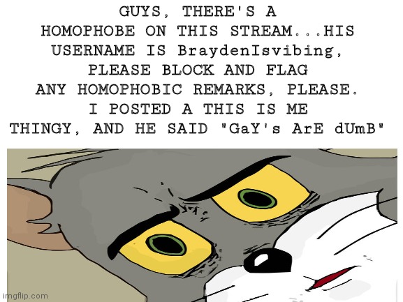 Ban BraydenIsvibing!!! | GUYS, THERE'S A HOMOPHOBE ON THIS STREAM...HIS USERNAME IS BraydenIsvibing, PLEASE BLOCK AND FLAG ANY HOMOPHOBIC REMARKS, PLEASE. I POSTED A THIS IS ME THINGY, AND HE SAID "GaY's ArE dUmB" | image tagged in homophobe | made w/ Imgflip meme maker
