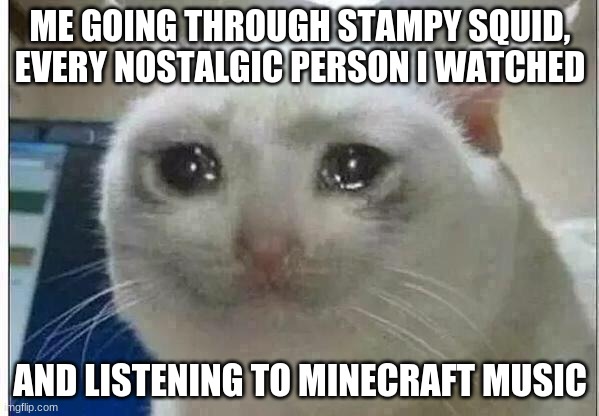 crying cat | ME GOING THROUGH STAMPY SQUID, EVERY NOSTALGIC PERSON I WATCHED; AND LISTENING TO MINECRAFT MUSIC | image tagged in crying cat | made w/ Imgflip meme maker
