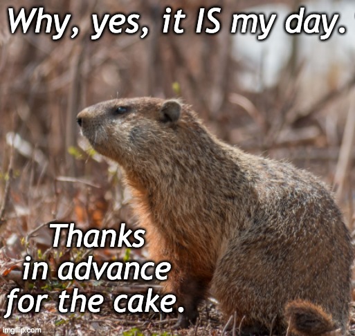 Happy Groundhog Day! | Why, yes, it IS my day. Thanks in advance for the cake. | image tagged in holidays,rodent | made w/ Imgflip meme maker