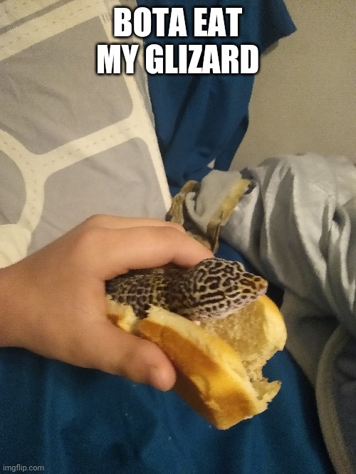 Glizzard | BOTA EAT MY GLIZARD | image tagged in cringe,funny,lizzard | made w/ Imgflip meme maker