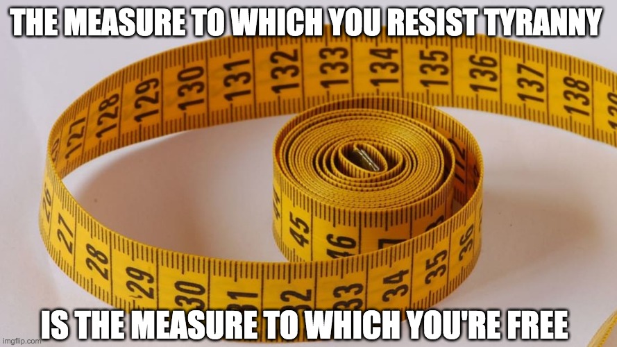 FREEDOM | THE MEASURE TO WHICH YOU RESIST TYRANNY; IS THE MEASURE TO WHICH YOU'RE FREE | image tagged in freedom | made w/ Imgflip meme maker