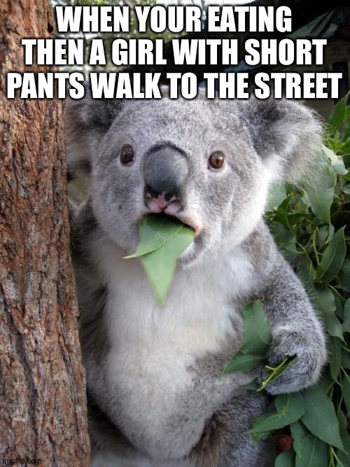 Surprised Koala | WHEN YOUR EATING THEN A GIRL WITH SHORT PANTS WALK TO THE STREET | image tagged in memes,surprised koala | made w/ Imgflip meme maker