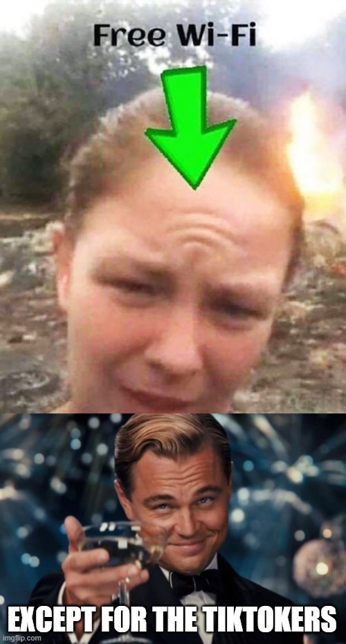 Kinda true though | EXCEPT FOR THE TIKTOKERS | image tagged in memes,leonardo dicaprio cheers | made w/ Imgflip meme maker