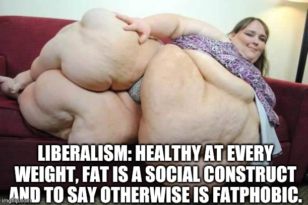 fat girl | LIBERALISM: HEALTHY AT EVERY WEIGHT, FAT IS A SOCIAL CONSTRUCT AND TO SAY OTHERWISE IS FATPHOBIC. | image tagged in fat girl | made w/ Imgflip meme maker