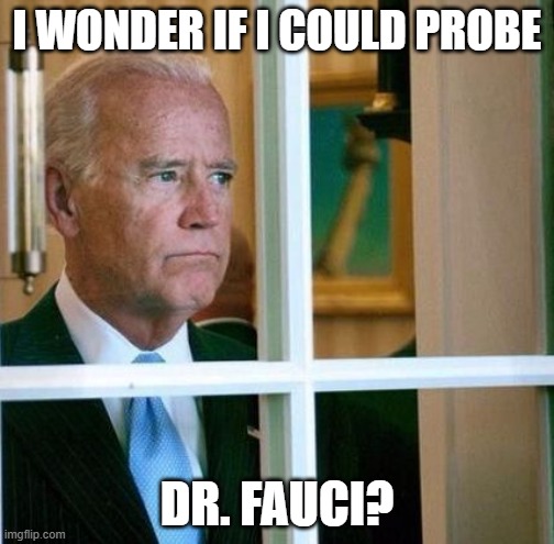 Sad Joe Biden | I WONDER IF I COULD PROBE; DR. FAUCI? | image tagged in sad joe biden | made w/ Imgflip meme maker