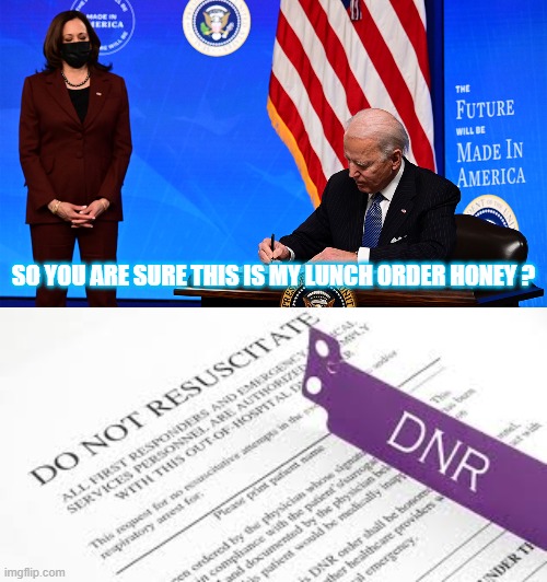 Bidens an ass | SO YOU ARE SURE THIS IS MY LUNCH ORDER HONEY ? | image tagged in biden,fake,hoe,kama | made w/ Imgflip meme maker