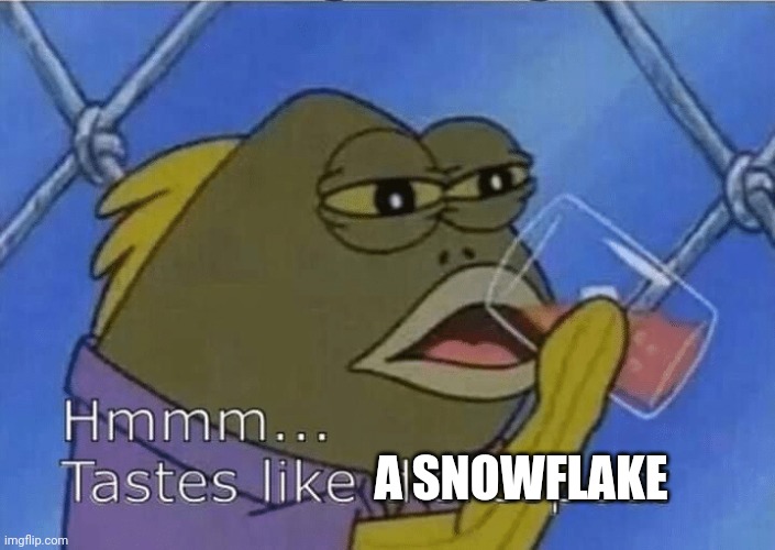 Blank Tastes Like Disrespect | A SNOWFLAKE | image tagged in blank tastes like disrespect | made w/ Imgflip meme maker