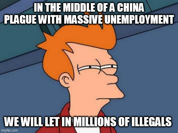 Futurama Fry |  IN THE MIDDLE OF A CHINA PLAGUE WITH MASSIVE UNEMPLOYMENT; WE WILL LET IN MILLIONS OF ILLEGALS | image tagged in memes,futurama fry | made w/ Imgflip meme maker