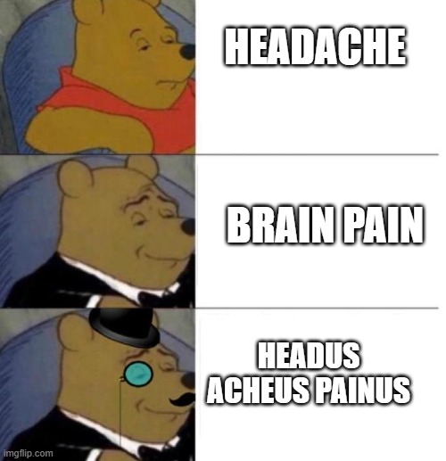 Fancy ways of spelling Pt:1 | HEADACHE; BRAIN PAIN; HEADUS ACHEUS PAINUS | image tagged in tuxedo winnie the pooh 3 panel | made w/ Imgflip meme maker
