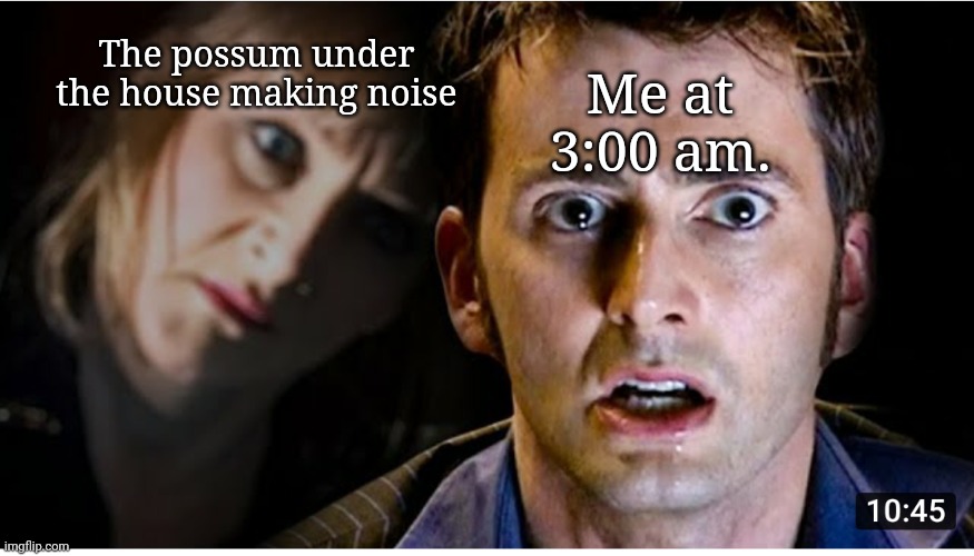 The possum under the house making noise; Me at 3:00 am. | image tagged in doctor who,possum | made w/ Imgflip meme maker