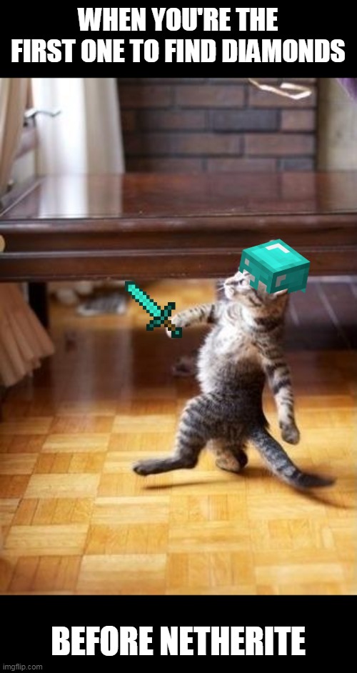 before netherite | WHEN YOU'RE THE FIRST ONE TO FIND DIAMONDS; BEFORE NETHERITE | image tagged in memes,cool cat stroll,minecraft,diamond | made w/ Imgflip meme maker