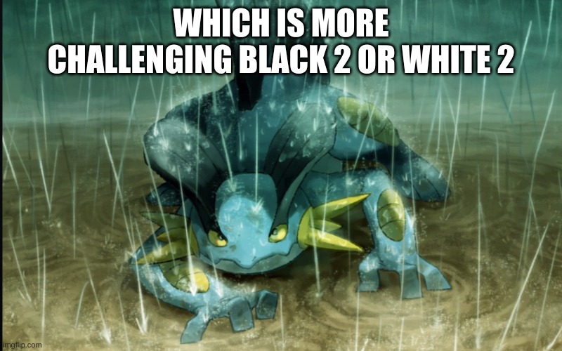 I wanna play the more challenging one as a nuzlocke(Even if one is slightly more challenging it still counts) | WHICH IS MORE CHALLENGING BLACK 2 OR WHITE 2 | image tagged in the best swampert 999 | made w/ Imgflip meme maker