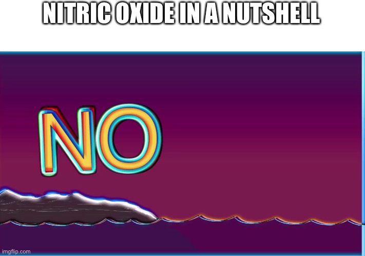 If you know, you know | NITRIC OXIDE IN A NUTSHELL | image tagged in bill wurtz no | made w/ Imgflip meme maker