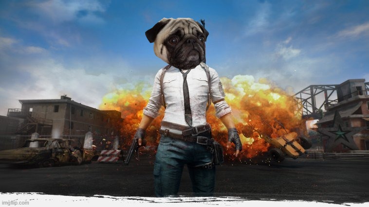 PUG G! | image tagged in pubg,pug,memes | made w/ Imgflip meme maker