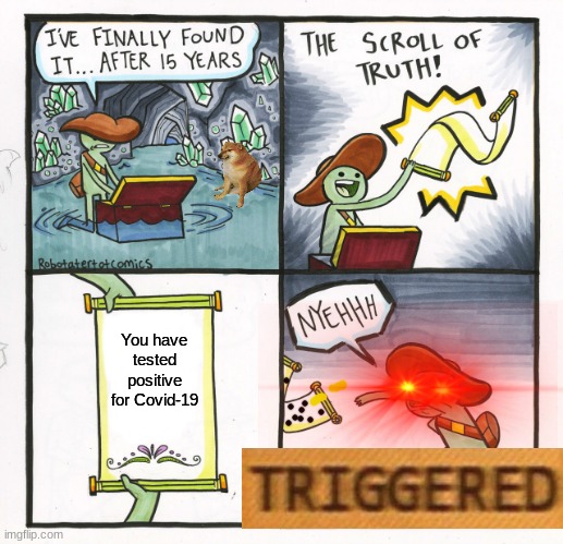 Meme | You have tested positive for Covid-19 | image tagged in memes,the scroll of truth | made w/ Imgflip meme maker