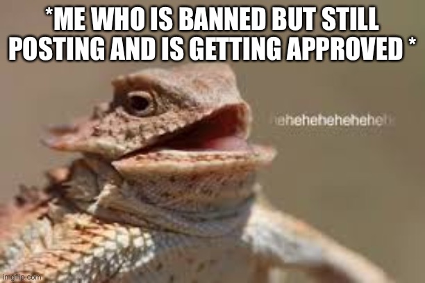 Y a y ! ~ | *ME WHO IS BANNED BUT STILL POSTING AND IS GETTING APPROVED * | image tagged in heheheheh dragon | made w/ Imgflip meme maker
