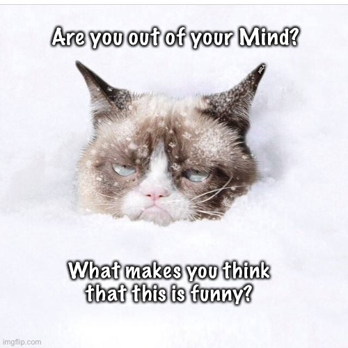 Grumpy Cat snow | Are you out of your Mind? MRA; What makes you think
that this is funny? | image tagged in grumpy cat snow | made w/ Imgflip meme maker