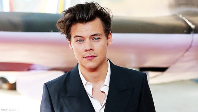 We've all seen how hot Harry is, how about Niall next? | made w/ Imgflip meme maker