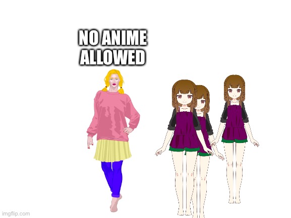 NO ANIME ALLOWED | image tagged in anime sucks,anime,sucks,aria landry | made w/ Imgflip meme maker
