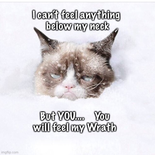 Grumpy Cat snow | I can’t feel anything 
below my neck; MRA; But YOU....    You
will feel my Wrath | image tagged in grumpy cat snow | made w/ Imgflip meme maker