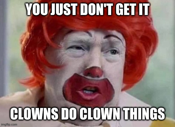 truly | YOU JUST DON'T GET IT; CLOWNS DO CLOWN THINGS | image tagged in clown t | made w/ Imgflip meme maker