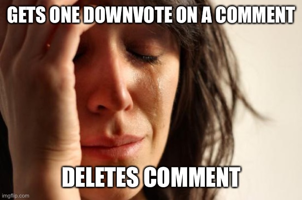 Lol so true | GETS ONE DOWNVOTE ON A COMMENT; DELETES COMMENT | image tagged in memes,first world problems | made w/ Imgflip meme maker
