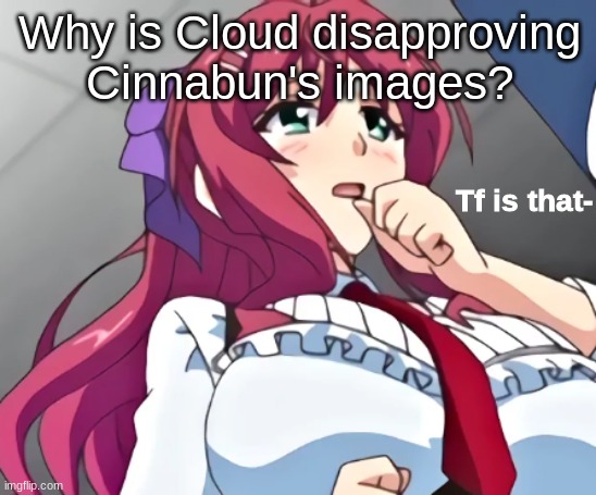 Tf is that- | Why is Cloud disapproving Cinnabun's images? | image tagged in tf is that- | made w/ Imgflip meme maker