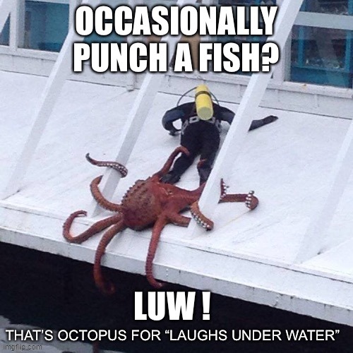 octopus attitude | image tagged in laughs under water | made w/ Imgflip meme maker