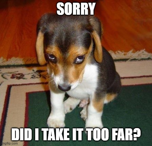 sorry | SORRY DID I TAKE IT TOO FAR? | image tagged in sorry | made w/ Imgflip meme maker