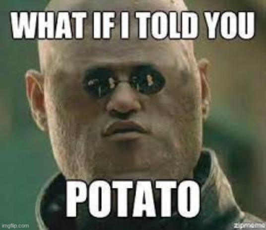 P O T A T O | image tagged in matrix morpheus | made w/ Imgflip meme maker
