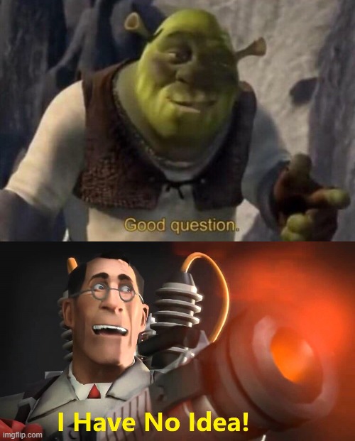 image tagged in shrek good question,i have no idea medic version | made w/ Imgflip meme maker