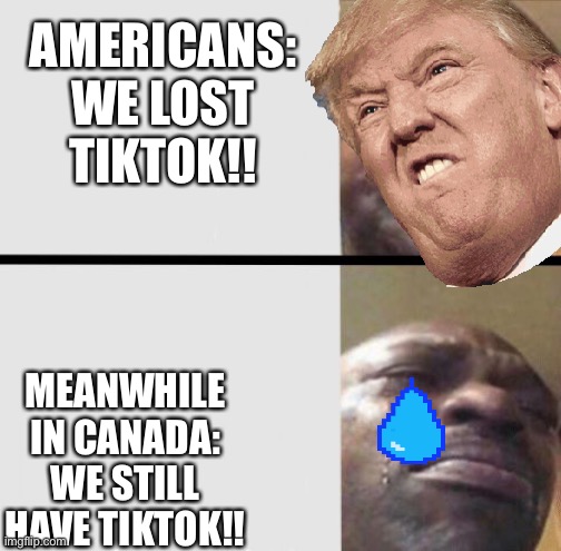 Why Them And Not Us? | AMERICANS: WE LOST TIKTOK!! MEANWHILE IN CANADA: WE STILL HAVE TIKTOK!! | image tagged in donald trump,trump,tiktok,tiktok sucks | made w/ Imgflip meme maker