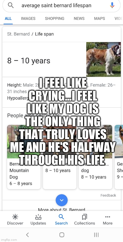 I FEEL LIKE CRYING...I FEEL LIKE MY DOG IS THE ONLY THING THAT TRULY LOVES ME AND HE'S HALFWAY THROUGH HIS LIFE | made w/ Imgflip meme maker