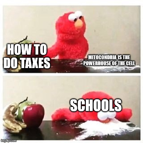 elmo cocaine | HOW TO DO TAXES; MITOCONDRIA IS THE POWERHOUSE OF THE CELL; SCHOOLS | image tagged in elmo cocaine | made w/ Imgflip meme maker